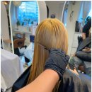 사라헤어 이미지