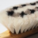 물빛동물병원 이미지