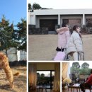 (주)경쓰 이미지