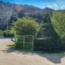 약사계곡 캠핑장 이미지