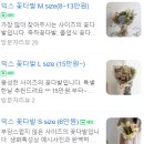 보니에플라워랩