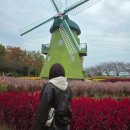 보리밭수제비 | [순천 가을여행추천｜순천 11월 단풍] 순천만 갈대축제 후기