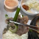 건방진 순대 티스토리