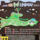 진도청경