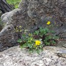 노적봉길 이미지