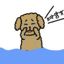 미나피부관리실