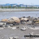 망산도 유주암 이미지