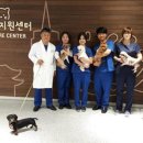서울동물복지지원센터 동물병원 이미지