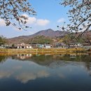 외입석 Daum카페