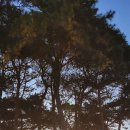 16.業업과 恨한의 조상 이미지