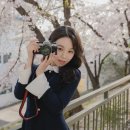 헤어무드인 이미지