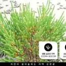 함초닷컴