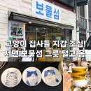 여우술잔 | 부산 서면 팝업 보물섬 성수핫플 고양이 일본직수입 도자기그릇 솔직후기