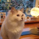 제주보리게스트하우스