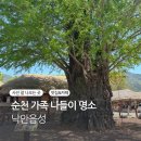 청민속주막 | 순천 4월 가족나들이 최고 명소 낙안읍성 후기 카페로와로 마무리