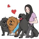 윤보스독스 이미지