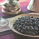 원예심리상담사 이미지