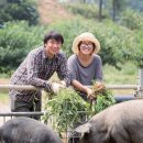 자연목장2 이미지