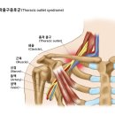 든든 한의원 네이버블로그