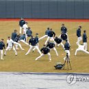 스프링비