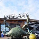 김포평화누리길 1코스 | [경기도,김포시] 평화누리길 1코스, 염하강철책길 걷기