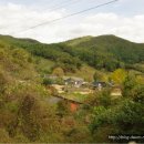 영화마을 이미지