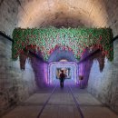 문경 오미자테마터널 이미지