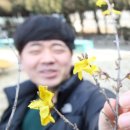 개나리아파트 놀이터 이미지