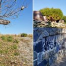 하당2리 이미지