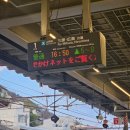 안녕고양이 | 히로시마 오노미치 여행 센코지 로프웨이, 고양이 골목 후기