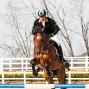 대명홀딩스 이미지