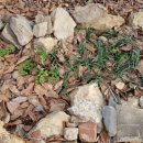 율하우스 이미지