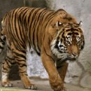 오중한한의원 이미지