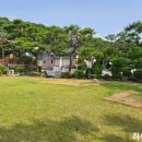 오뚜기부동산공인중개사사무소 네이버블로그