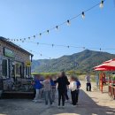 프리미어아레나승마클럽 이미지