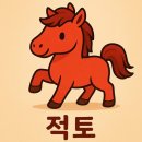 [임신초기 3-9주] 하남 연세아란산부인과 검진 후기