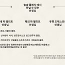 바이올린 중급반 이미지