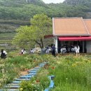 남해의 여유 | [경상남도 남해군] 카페 톨