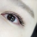 루이속눈썹 이미지