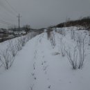 발산 태양광발전소 이미지