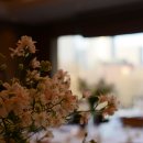 제이프라자 이미지