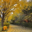 수봉공원 (실내배드민턴장) 이미지