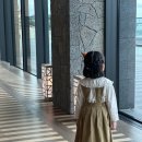 남원읍-63 | 제주도 태교여행 코스 (서귀포 올레시장-천지연폭포-제주메리어트)