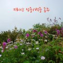 지리산거북이산장식당