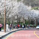 자유수호평화박물관주차장 이미지