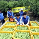 창원마을 이미지