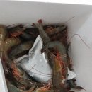 샤브향다사죽곡점