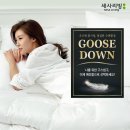 세사리빙 이미지