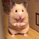 엘르메디여성의원 이미지