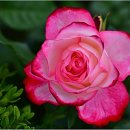 고잔방사선과의원 이미지